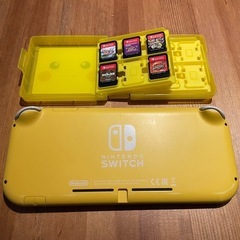 Switch Light 本体 + カセットの画像
