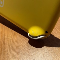 Switch Light 本体 + カセットの画像