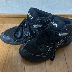 バスケバッシュ