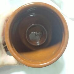 梅干しのツボの画像