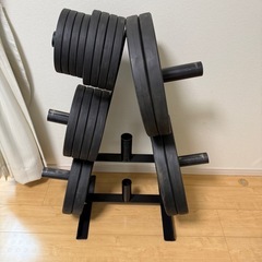 ZIVA ラバーグリップディスク 125kg IROTEC IV...