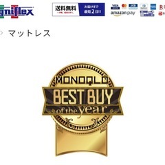 8/6まで［magniflex］フラッグ FX クイーン［5年使用］新品価格183,700円　の画像
