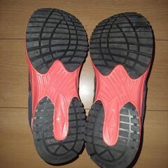 運動靴  24.5cmの画像