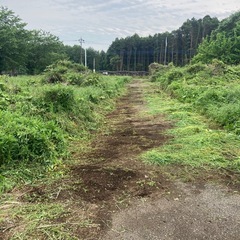 草刈り、草取り