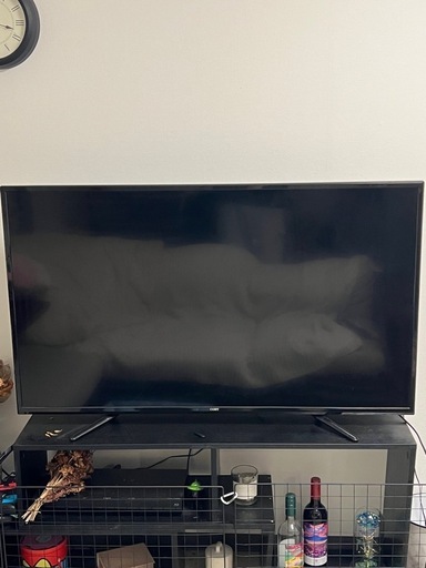 50型テレビ