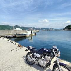 YAMAHA SRX250
