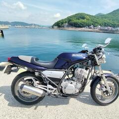  SRX250 の画像
