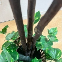 觀葉植物、人工植物 本物に近い質感、水やり不用 高さ131cmの画像