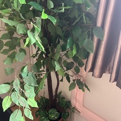 觀葉植物、人工植物 本物に近い質感、水やり不用 高さ131cmの画像