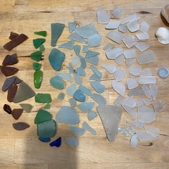 シーグラスと貝殻のセットの画像