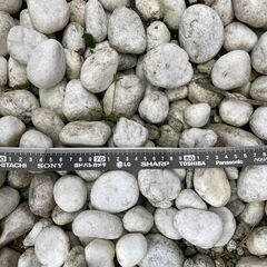 白玉石 2-6 cm 程度