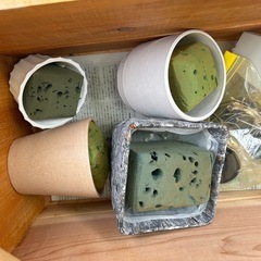 観葉植物、鉢  セット売り セダム、ほうき草の画像