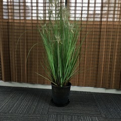 アジアン　フェイクグリーン