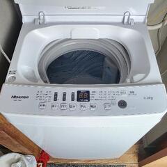 Hisense 洗濯機5.5kg 