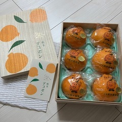 日本の極み　熊本デコポン