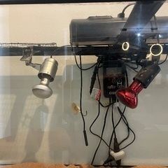 爬虫類用 水槽セットの画像