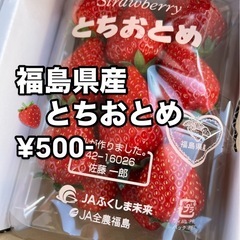 今週一杯で福島🍓終了🙇‍♀️福島より到着したて新鮮な🍓とちおとめ...