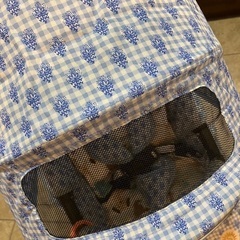お値下げ　エアバギー ココブレーキの画像