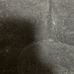 エアーベッドの画像