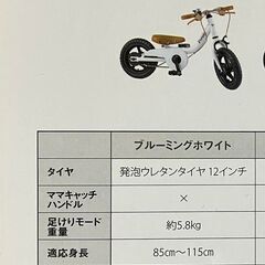 引き取り限定の為、低価格！使用頻度極少！美品！Peopleケッターサイクル12㌅ 楽天市場】ケッターサイクル 12の通販