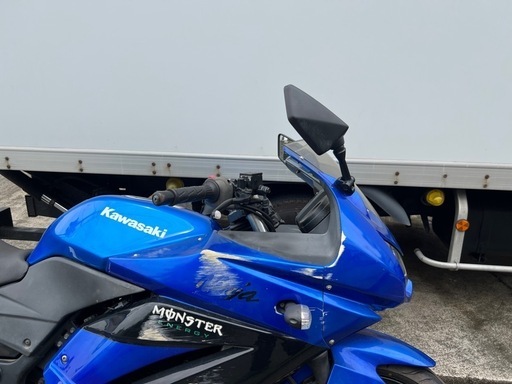 Ninja250R 軽整備済ETC2.0付43754㎞EX250Kニンジャ250 (こむぎ) 藤代の 