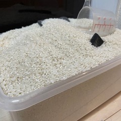 お米1〜2kg 無償提供します