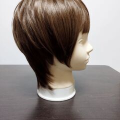 ウィッグ　かつらの画像