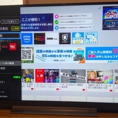 TOSHIBA REGZA  49型テレビ
