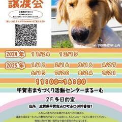 6月15日　保護犬　保護猫　譲渡会