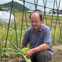 自然農法　家庭菜園「学び家」
