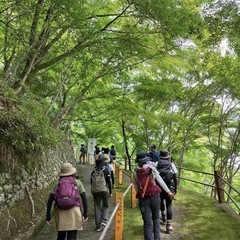 ポンポン山 - メンバー募集