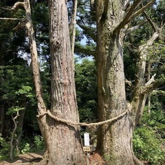 ポンポン山 - 友達