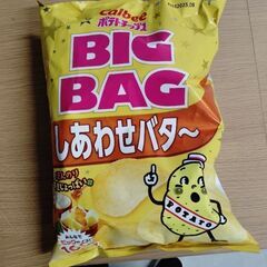 球拾いからでも…スポーツなんでもこい！