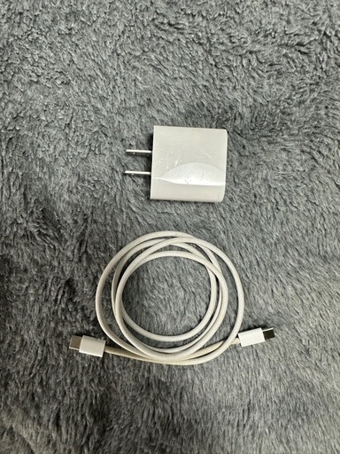 iPad Pro 11インチM2 （第4世代）256GB