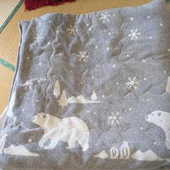 こたつ布団