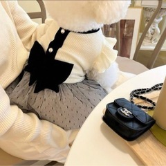 小型犬用 ペット服 リボン付きワンピースの画像