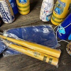 💫強いドラゴングッズ💫の画像