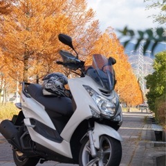 マジェスティS 155cc 自賠責保険付き