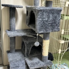 キャットタワー