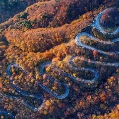 今夜いろは坂に行かれる方居ますか🚗