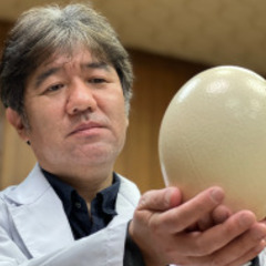 ダチョウ抗体マスク ダチョウ力 プリーツ記憶タイプ Rサイズ   ３枚いりの画像