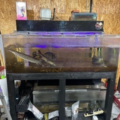アクリル水槽1500セット