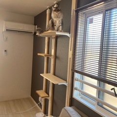 ※受取者決定【5/24までに取りに来てくれる方】2×4材　ラブリコ　ガチャレール　ブラケット付き　　　　の画像