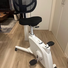 FLEXISPOT エアロバイク