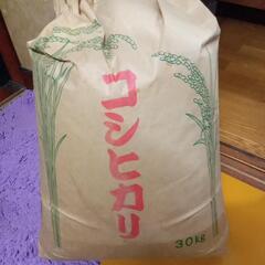 急募 お米30キロ売ります