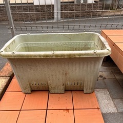 (無料)深型プラスチック製プランター