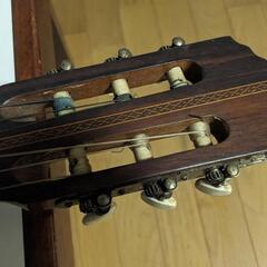 アコースティックギター②の画像