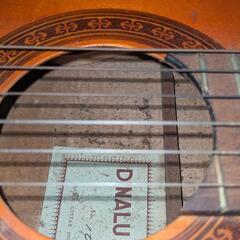 アコースティックギター②の画像