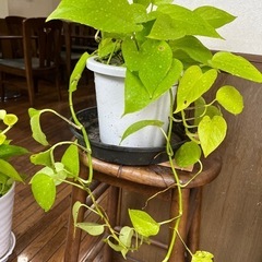 ③
