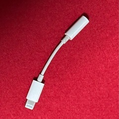 iPhone変換Lightning(純正品)の画像